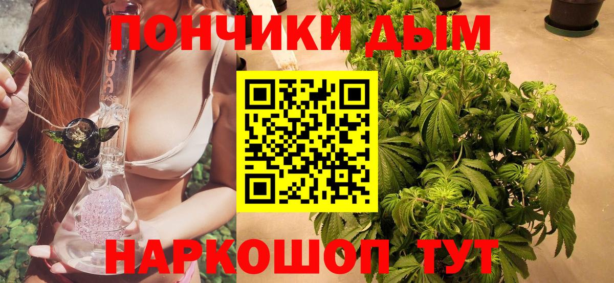 Бошки Шишки план  МАРИХУАНА планчик  Вход с VPN  Марихуана Ganja  Нефтекумск 